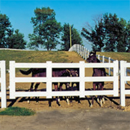 A large gate with horses behind it.