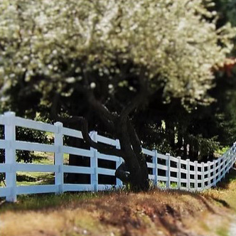 A four rail fence is bordering a pasture. A flowering tree is behind it.